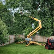 Best Storm Damage Tree Cleanup  in Simi Valley, CA