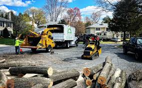 Best Lawn Pest Prevention  in Simi Valley, CA