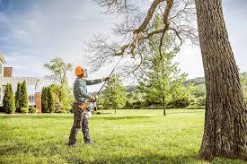 Best Lawn Mowing  in Simi Valley, CA
