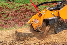 Pest Control for Lawns in Simi Valley, CA